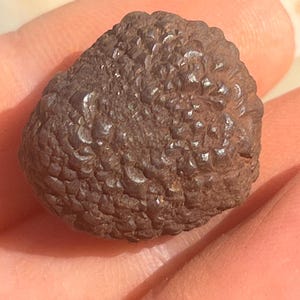 special unique lunar meteorite!precious rare find {012M}