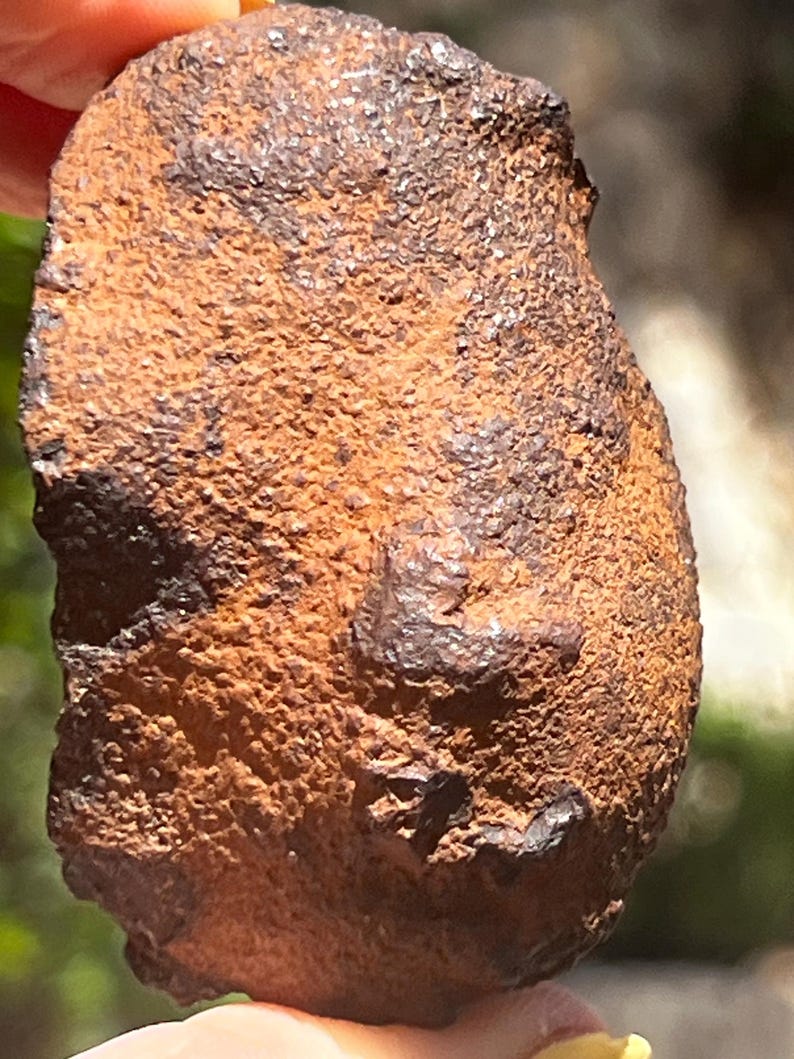 Rare Rocks Colorful Genuine Raw Meteorite With Certificate of Authenticity – Rare Asteroid ...
