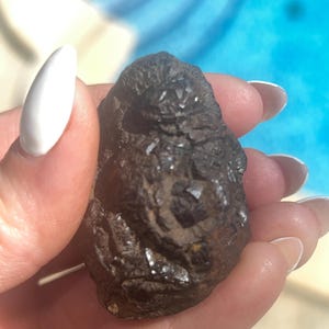 Op de afbeelding: Een donkerbruine, onregelmatig gevormde steen met een ruw, getextureerd oppervlak. De steen heeft kleine, glanzende, kristallijne insluitsels. Het object wordt vastgehouden in een hand met witte nagellak, met een vage blauwe achtergrond.