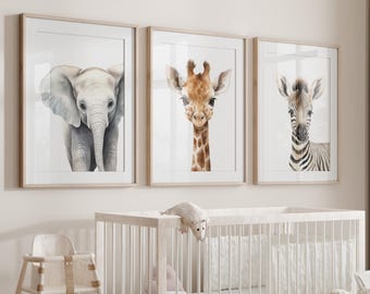 Safari Animal Prints: Nursery Wall Art, Set of 3