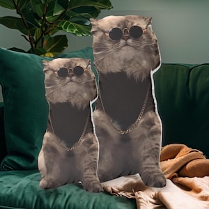 Crazy Cat With Glasses Shaped Pillow Design, Funny Animal Print Cushion, Unique Cat Shaped Pillow in different sizes, Cool Cat