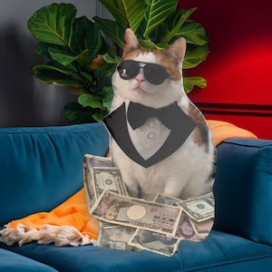 Cat Shaped Pillow, Mafia Cat with Money, Suit and Glasses, Funny, Cool and Crazy, Perfect Gift for Cat Lovers or People with Humor