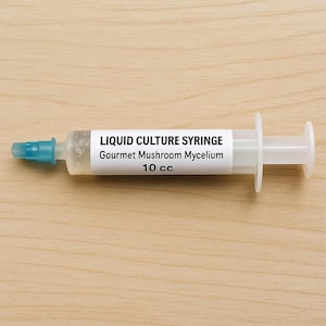 Gourmet Mushroom Liquid Culture – 10cc Syringe – Grow Pink Oyster, Lion&#39;s Mane, Reishi & More