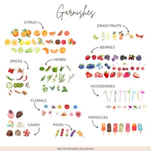 May include: A colorful chart with illustrations of various garnishes for drinks, including citrus fruits, dried fruits, berries, herbs, spices, florals, candy, picks, accessories, and popsicles. The chart is titled "Garnishes" and includes the text "Not all elements are shown".