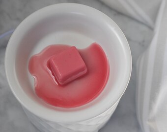 Soy Wax Melts | Highly Scented Clamshell Wax Melts | Hand Poured Wax Melts | Strong Scent Wax Melts | Wax Melt Gift for Her