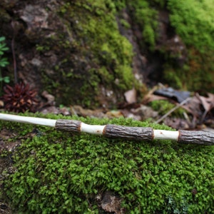 Magick Wand OOAK Curved Wooden Fir Wand for Spell Casting Tools for Witches and Warlocks image 1