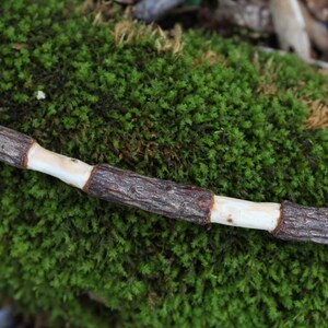 Magick Wand OOAK Curved Wooden Fir Wand for Spell Casting Tools for Witches and Warlocks image 3