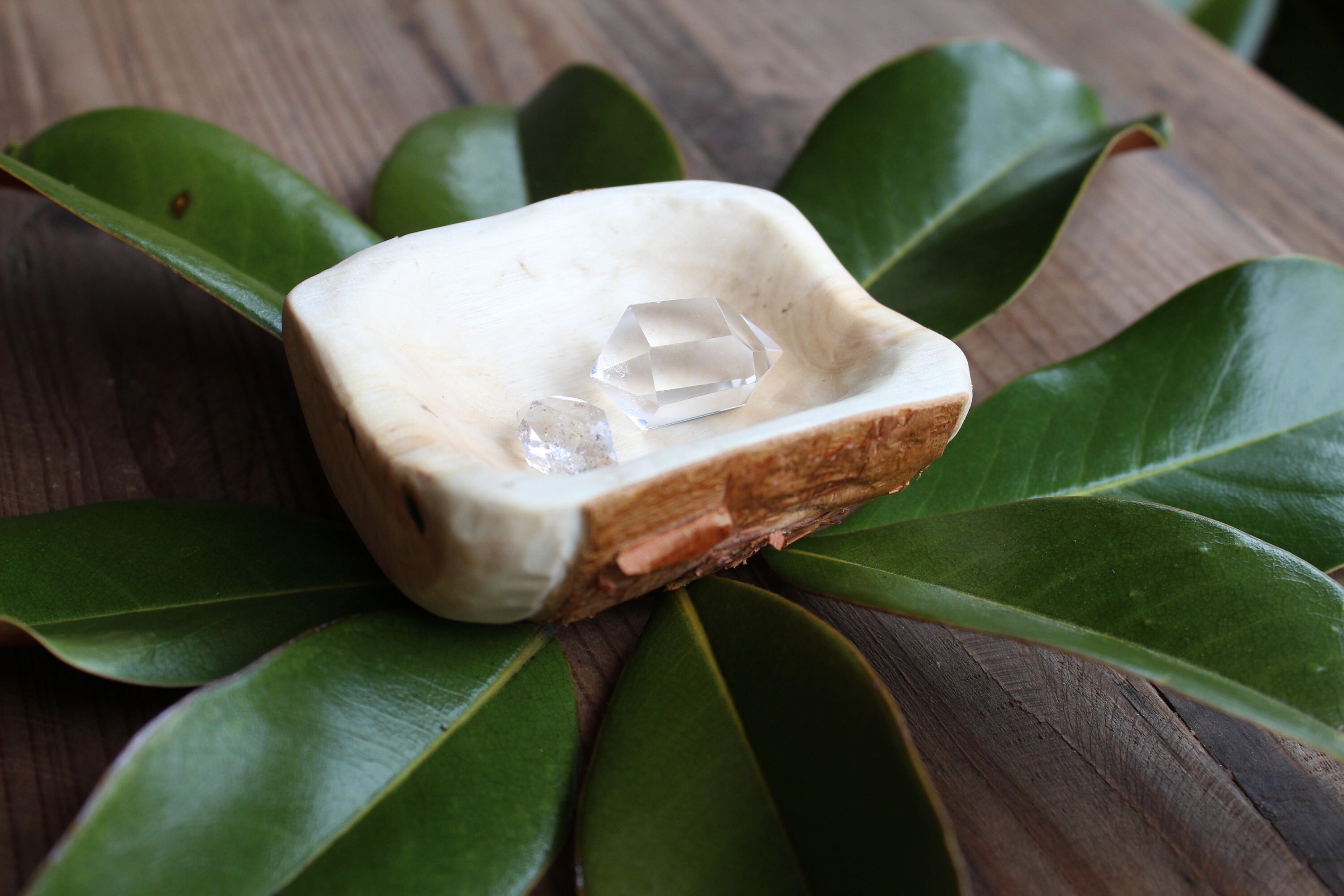 River birch jewelry best sale