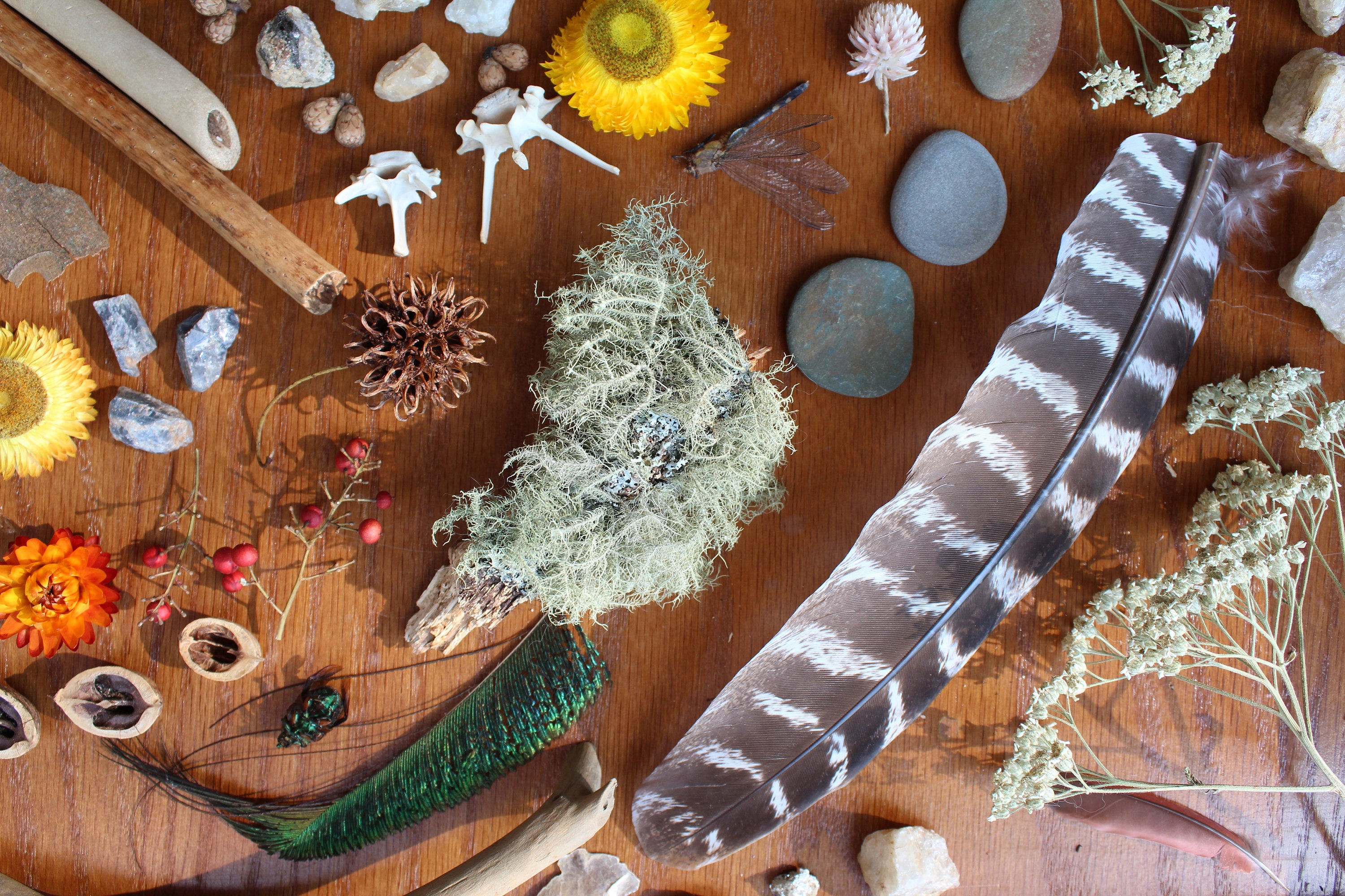 Nature Collection Mystery Box With 13 Items Plants Stones Etsy UK