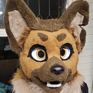 May include: A brown and tan furry dog head with large ears. The head has a black nose and white teeth. The eyes are large and round with brown pupils and white sclera.