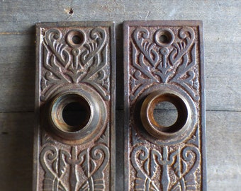 1800s? Taken off Municipal Building Vintage Antique Door Push Plate Copper