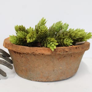 May include: A low, round, weathered terracotta planter with a rough, porous texture containing a cluster of small, light green, cone-shaped succulent foliage. A dark, rusted metal hand rake with five tines is positioned to the left of the planter.