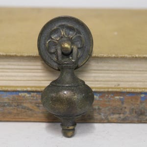 Antique brass drawer pull w/ Flower plate architectural salvage restoration hardware supplies Victorian