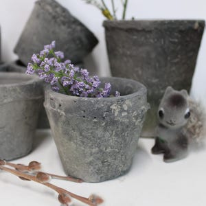 May include: A collection of small, dark gray concrete pots with a rough, weathered texture. One pot contains a sprig of small purple flowers. A miniature gray squirrel figurine stands next to the pots, and a brown pussy willow branch lies in front.