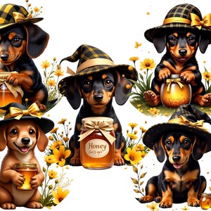 Dachshund, clipart de mel, bebê Dachshund, adesivos de filhotes, clipart de cachorro, designs de canecas de filhotes, sublimação, impressão sob demanda