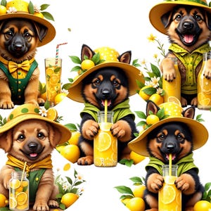 Pastor alemão, clipart de limões, pastor alemão bebê, adesivos de filhotes, clipart de cachorro, designs de canecas de filhotes, sublimação, impressão sob demanda
