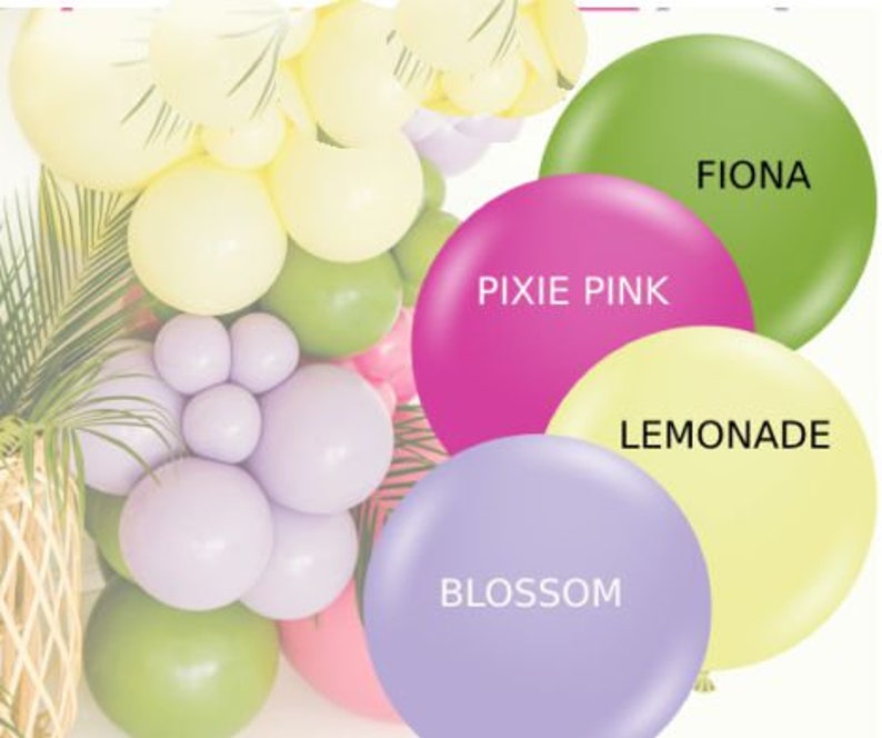 Biodegradable Balloons 24 Inch Pack of ONE 11 5 INCH Pack of Etsy