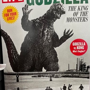 Godzilla Styling Sushi Dude Moveable Limbs 13 inches Long 9 inches tall image 5
