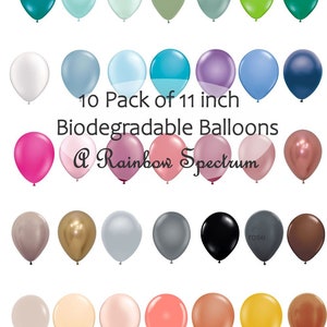 6 BALLONS LATEX BD 30CM PREMIUM