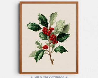 Vintage Holly Branch Art, Festive Botanical Christmas Wall Decor (Digital Download) 229