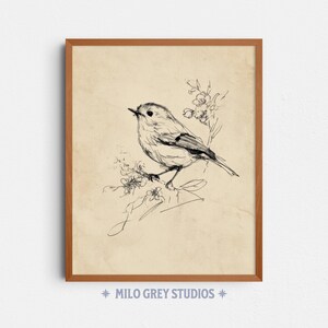 Könnte beinhalten: Ein gerahmter Druck mit einer detaillierten Feder- und Tuschzeichnung eines kleinen Vogels auf einem blühenden Zweig. Das Schwarz-Weiß-Kunstwerk befindet sich vor einem beigefarbenen Hintergrund und in einem hellbraunen Holzrahmen. Der Text "MILO GREY STUDIOS" befindet sich unten.