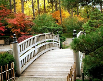 Beautiful Bridge - digital download