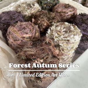 Könnte beinhalten: Eine Sammlung von Kunstgarn in verschiedenen Braun-, Lila- und Cremetönen. Das Garn ist in einem Korb angeordnet, mit dem Text "Forest Autum Series" und "Limited Edition Art Yarn" auf dem Bild.