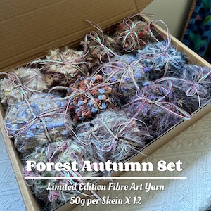 May include: A box of Forest Autumn Set fiber art yarn. The yarn is a mix of colors, including brown, blue, and purple, and is tied with a ribbon. The box contains 12 skeins, each weighing 50g. The text "Limited Edition Fibre Art Yarn" is visible.