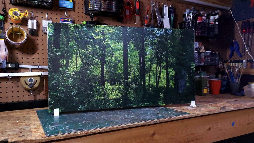 Dense Forest 30