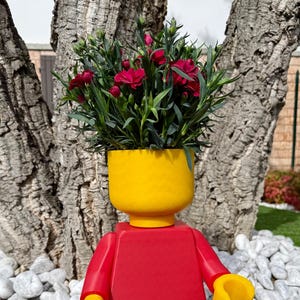 LEGO VAAS