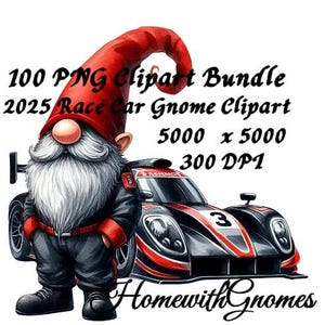 Nascar Gnome - Etsy Singapore