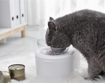Raised Cat and Dog Bowl Set | 2-in-1 Food and Water Bowl with Storage | Ergonomic Feeding Bowl for Small Dogs and Cats