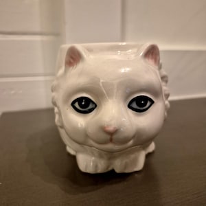 May include: A white ceramic cat-shaped planter with black eyes and a pink nose. The planter has a detailed design of a cat's face and paws. The cat planter is a decorative item for home decor.