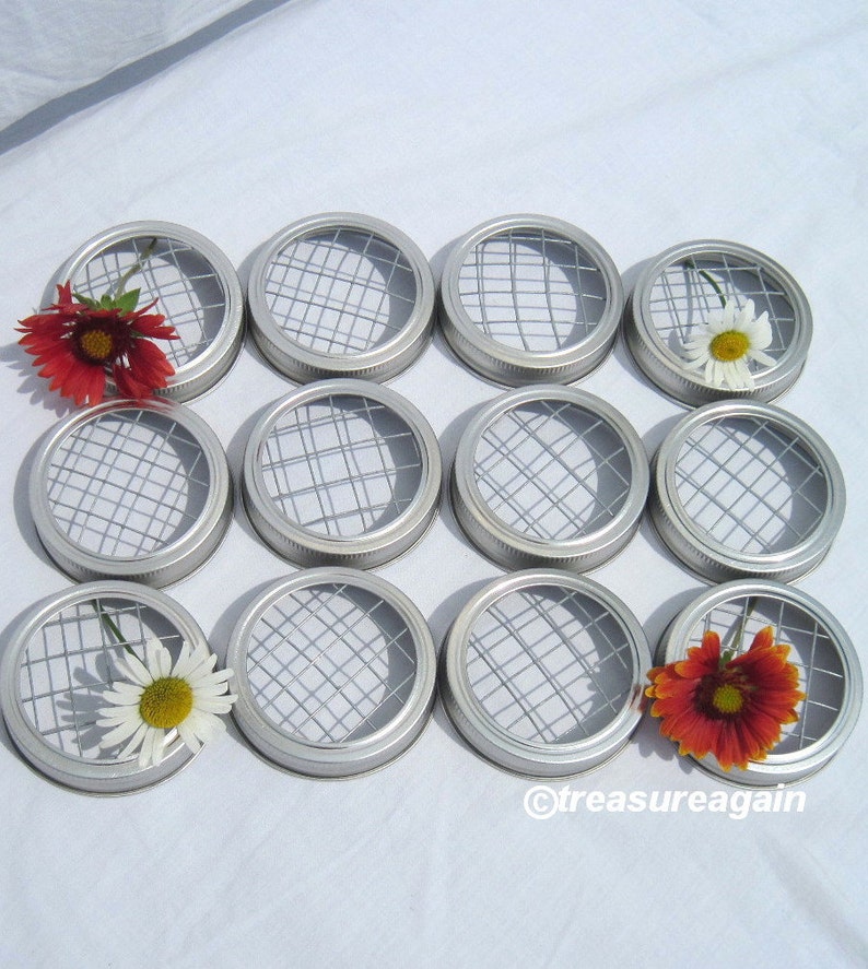 12 Mason Jar Vase Frog Lids for Flowers Silver or Gold Etsy