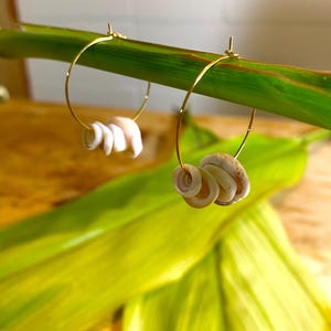 Puka Muschel Gold Creolen