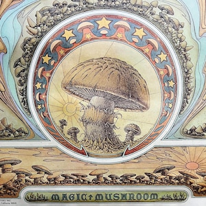 Póster original de Magic Mushroom, 1970