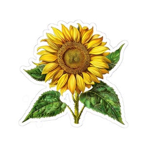 Sunflower Watercolor Sticker | Vinyl Sticker, Laptop, Phone case, Notebook, Kindle