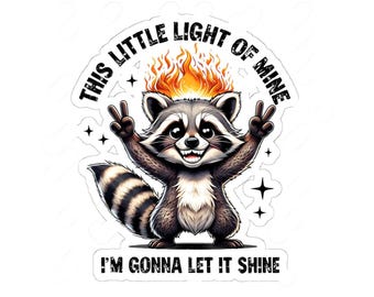 This Little Light Of Mine Sticker, Raccoon Sticker, Vinyl Laptop Decal, Chaos Coordinator, Water Bottle Sticker
