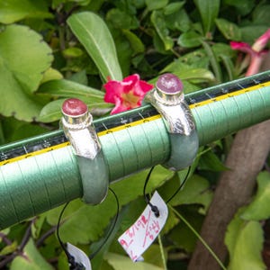 May include: Two rings with a silver band and a green jade base. Each ring features a round, reddish-pink gemstone. The rings are displayed on a green ring sizer, with a tag attached to one ring.