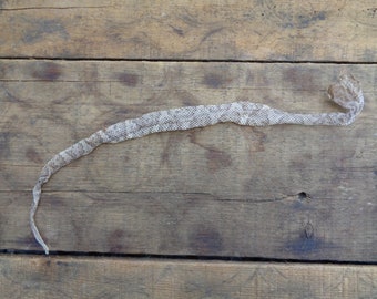 Rattlesnake skin | Etsy