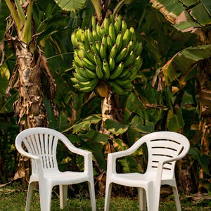 Tropical Chill DTMF 2025, cartel de arte mural reggaeton, decoración mural