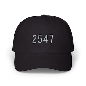 2547 Anti Trump Embroidered Baseball Cap, Subtle FDT Hat,  Resist Baseball Hat for Protests
