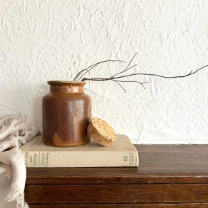 May include: A cylindrical brown ceramic jar with a smooth finish and a thick rim. A round, light-coloured cork stopper rests beside the jar. A thin, dark, leafless twig extends from the opening of the jar, arching towards the right side.