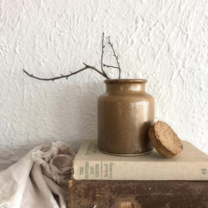 May include: A brown stoneware jar with a cork lid, holding a twig with small branches. The jar sits on a stack of vintage books. The background is a textured white wall. The jar is approximately 13 cm tall.