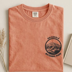 Haleakala Comfort Colors National Park T-shirt, vintage Hawaii bergshirt afbeelding 11