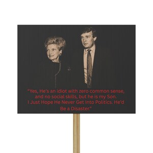 Sí, es un idiota. Cartel de protesta política con cita satírica, cartel de manifestación activista, cartel de declaración contundente, impresión de comentario social.