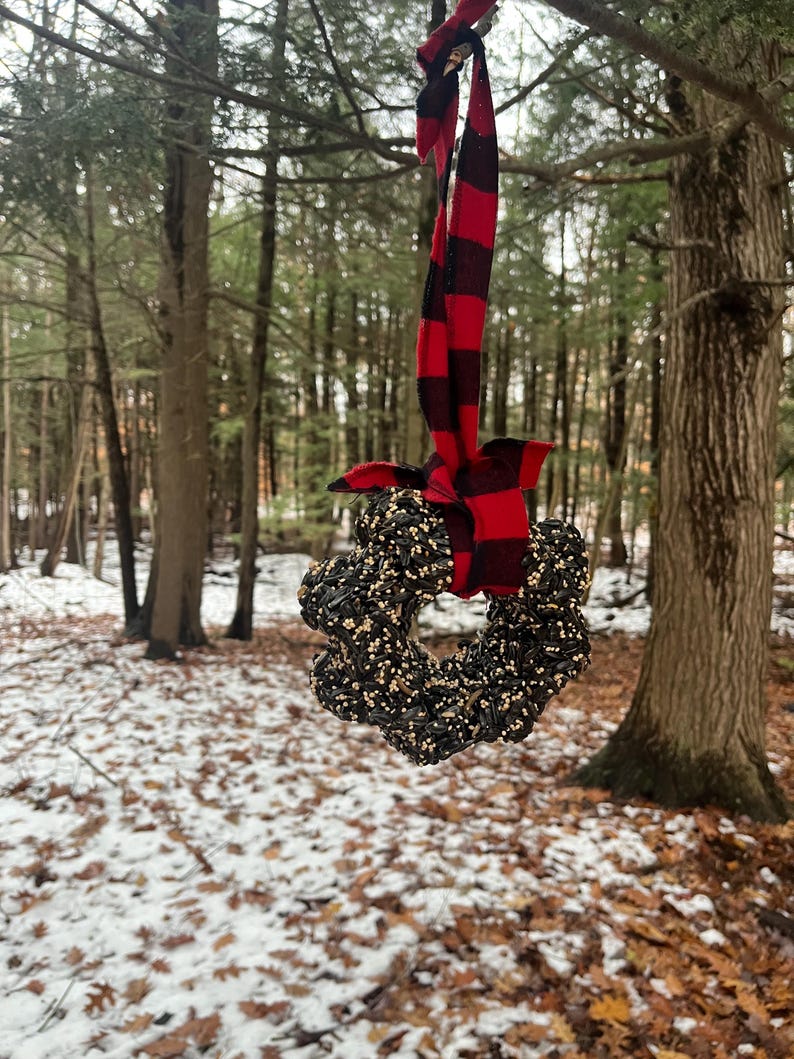 Vermont Birdseed Wreath Co Bild 2
