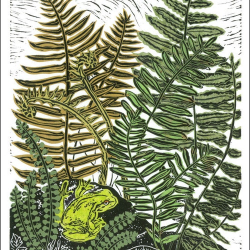 Poster, Card, Frog in the Ferns, amphibian, Cool Forest Floor, wild, natura .  SKU#101