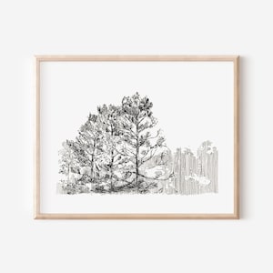 Op de afbeelding: Een ingelijste zwart-wit pentekening van verschillende bomen. Het kunstwerk toont gedetailleerde lijnen die de bomen met hun takken en bladeren afbeelden. Het kunstwerk staat tegen een witte achtergrond en is ingelijst in een lichtgekleurde houten lijst.