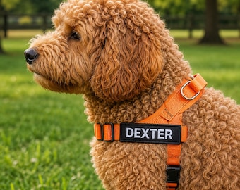 Custom Dog Name Patch | Personalised Velcro Tag/Sew-on | Embroidered Pet Label | Tactical Harness Accessory